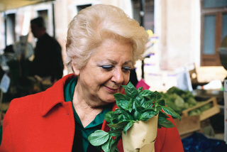 Illustration for article titled The Main Ingredient: Marcella